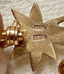 Золотая брошь «Пальмовая ветвь». Золото 585 проба со звездой