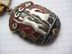 Орден Почета (веточки) № 152I93Ч