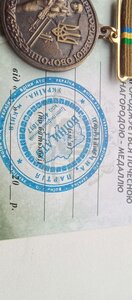 Відзнака; Учасник територіальної оборони