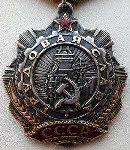 Трудовая Слава 3ст. № 623.254 клеймо эксцентрик