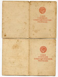 Слава 3ст. № 286т с доком и Дунайским бантом за сбитый Ме109