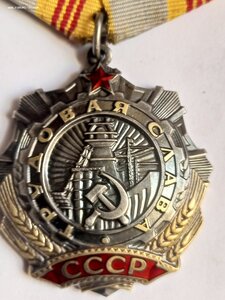 Трудовая слава 544 131 люкс