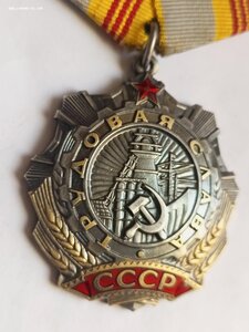 Трудовая слава 544 131 люкс