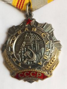 Трудовая слава 544 131 люкс