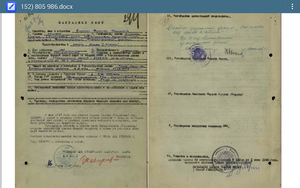 Слава 3 ст 805986 УК забросал гранатами дзот, убил 11 немцев