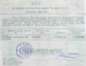 Вена 989-й штурмовой авиационный полк