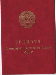 Док Воин интернационалист чистый