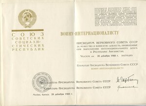 Док Воин интернационалист чистый