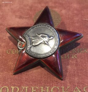 КЗ МЗПП одна в доке 1900***