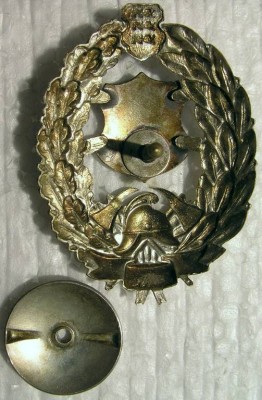 X лет в Пожарном обществе. Ag. Буржуазная Эстония