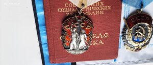 ТКЗ 30298, 265331, 359414, 308262 с док люксище профорг АП