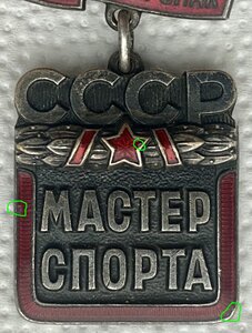 Почётный знак Мастер спорта с удостоверением Мастера спорта.