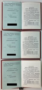 Чистые материнские доки: три орденских и три под медали