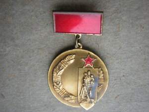 ПОЧЁТНЫЙ ЗНАК СКВВ____с доком (1985 г.)