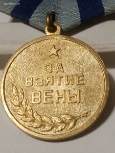 Вена отличная