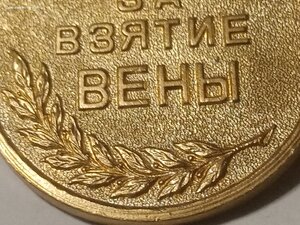 Вена отличная