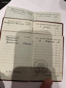 Трудовой комплект на ударника 9 пятилетки ОР, ТКЗ, ТСЗ+знаки