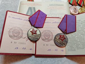 Трудовой комплект на супругов