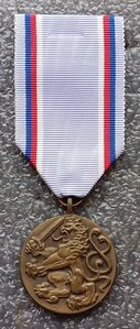 Медаль За службу Чехословакия