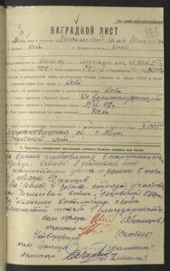 Партизан 2 ст на еврея от ПВС СССР 1970 г. копия наградного
