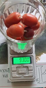 Бусы янтарь