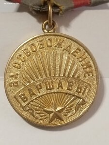 Варшава паяное ухо