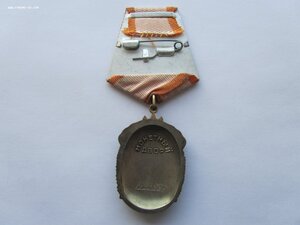 Орден Знак Почета I493887. Диапазон "веток".