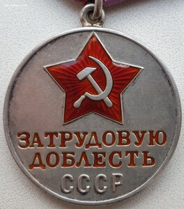 Трудовая доблесть № 50.923 персональный документ