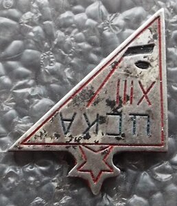 ЦСКА XIII хоккей