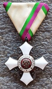 Орден За гражд. заслуги V класса без короны 1891 г. Болгария