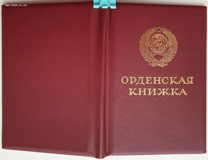 Отвага ННГ вручена в 1993 году на орденской Ментешашвили