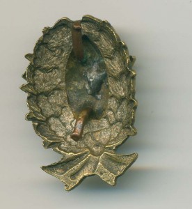 Редкие звездочка и коарда 20-х годов