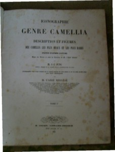 Атласы 1840г.Нужна консультация.