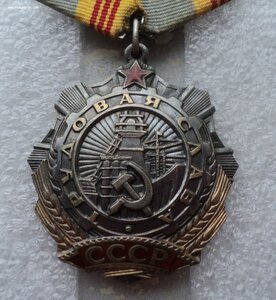 Трудовая Слава № 88519   фикс 3000 руб.