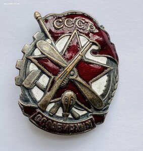 Членский знак ОСОАВИАХИМ 34 х 28 мм