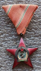 Серебряная медаль ордена За заслуги перед соц. Родиной 5 кл.