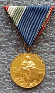 Медаль защиты от борьбу наводнений на Дунае Венгрия