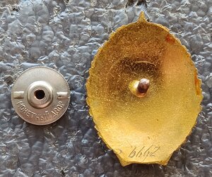 Почетный шахтер № 6662