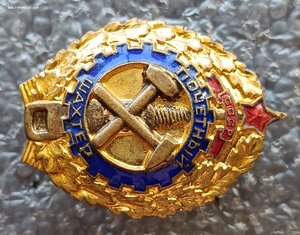 Почетный шахтер № 6662