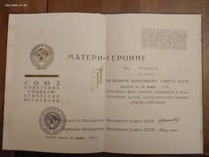 Большая и малая Грамота М. Героиня, ППВС Брежнев