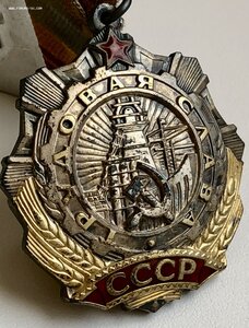 ТРУДОВАЯ СЛАВА 3ст. № 555хх