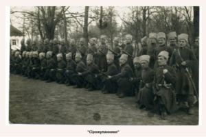 Серожупанники(1918 г)