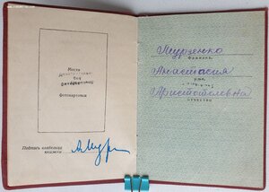 ТКЗ № 34.077 с орденской книжкой на врача. Указ 4.06.1945 г