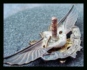 Крылья ОДВФ