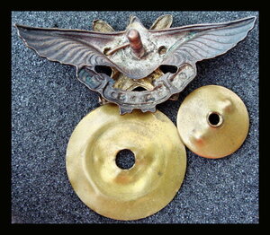 Крылья ОДВФ