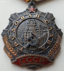 Трудовая Слава 3ст. № 28.810 с орденской на женщину