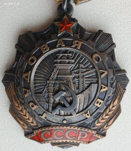 Трудовая Слава 3ст. № 28.810 с орденской на женщину
