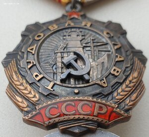 Трудовая Слава 3ст. № 28.810 с орденской на женщину