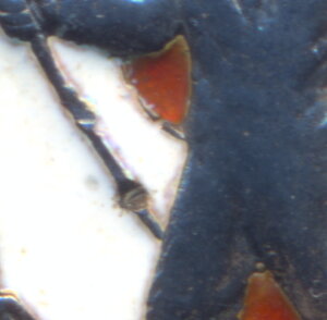 ОСС Наркомугля № 2567 .