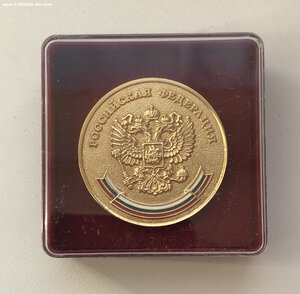 Золотая школьная медаль, Россия, 2007, Уральские Самоцветы
